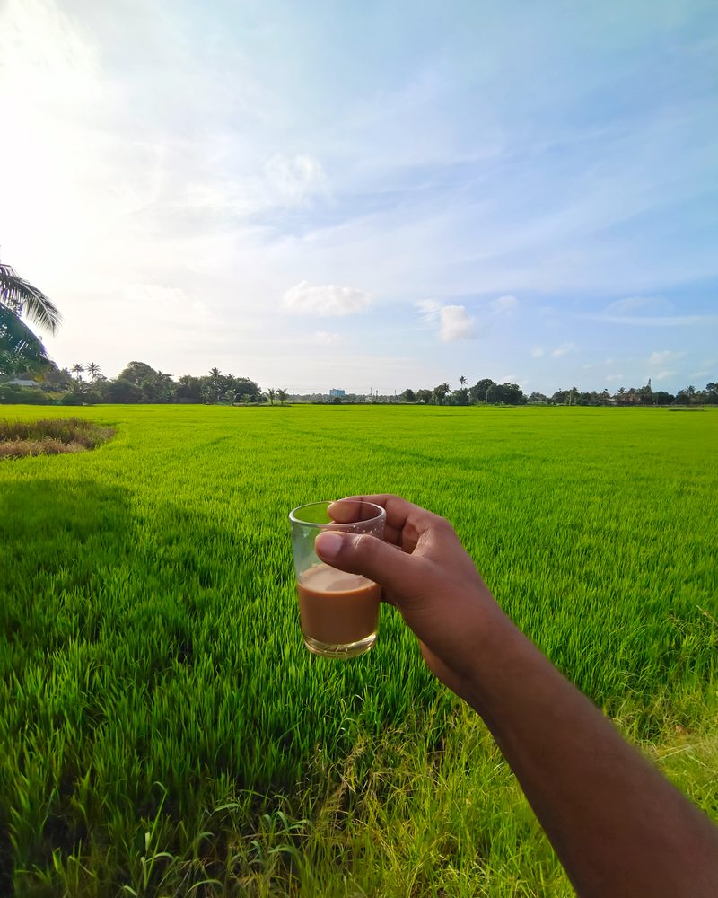 A hand holding a glass of tea above a vivid green field