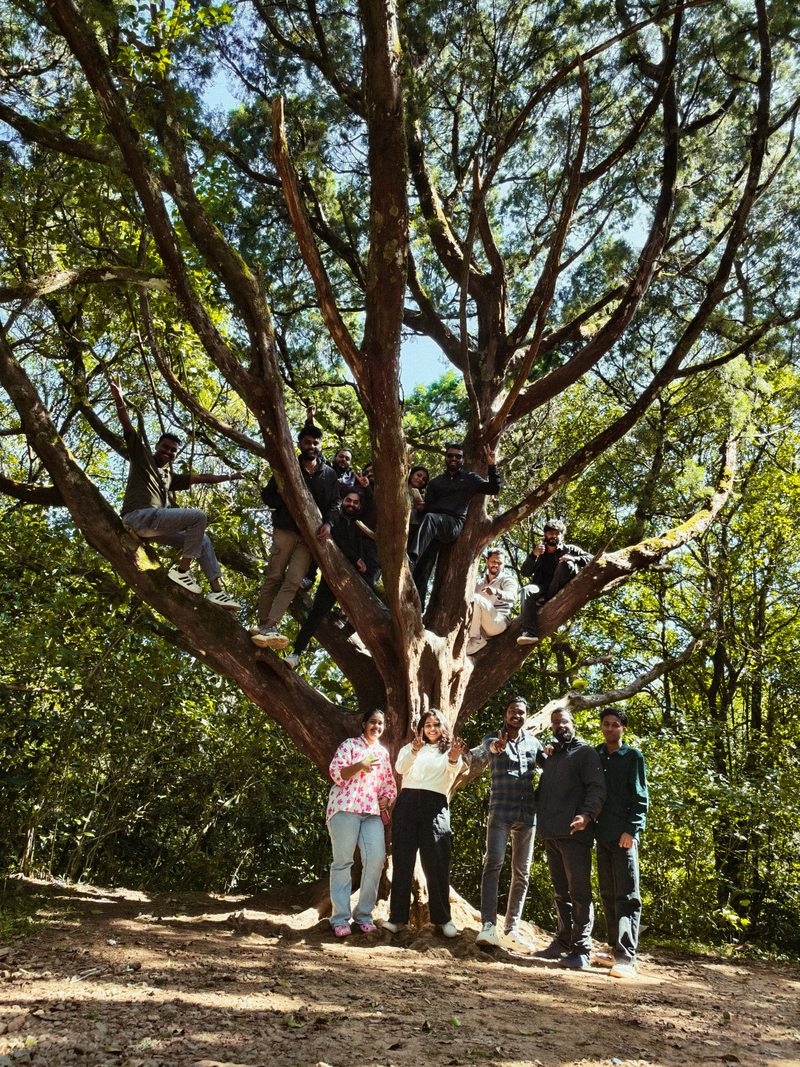 A group standing beneath the spreading branches of a large tree