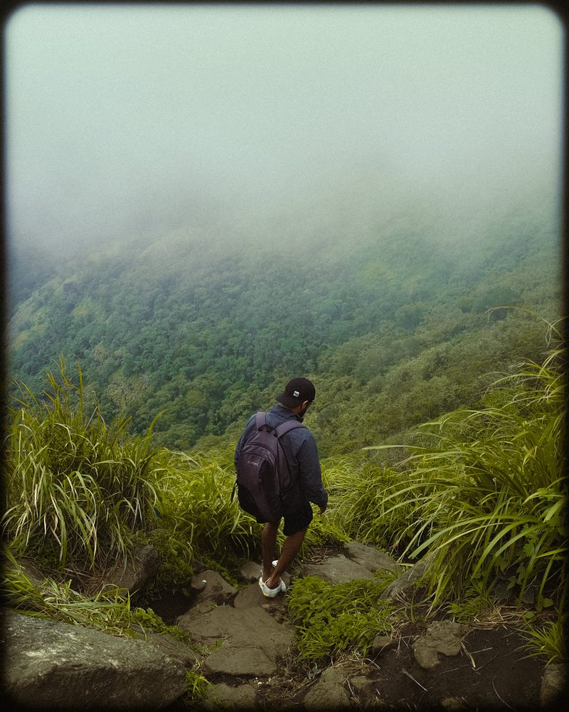 A person stepping down a narrow rocky path through tall green grass