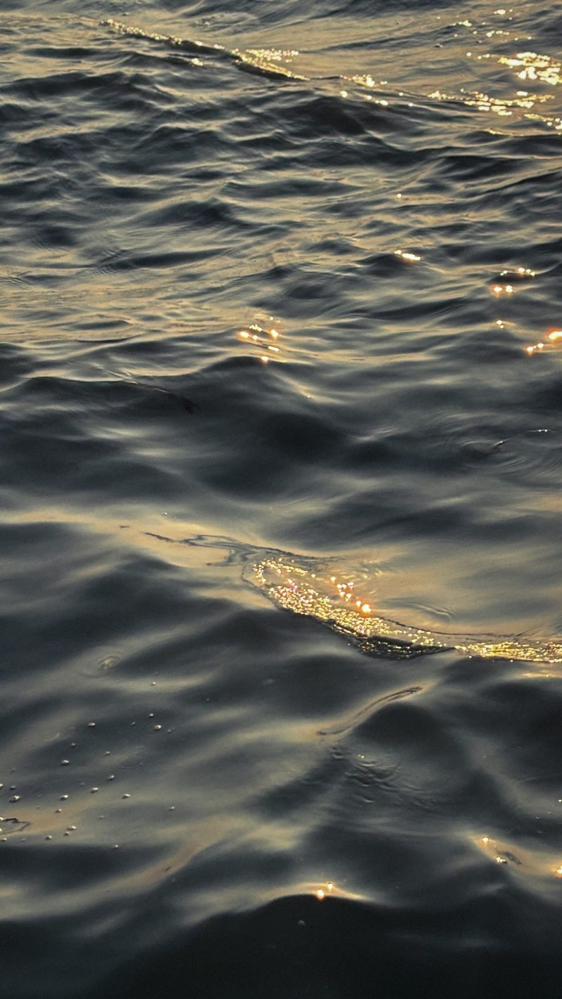 Warm sunlight catching the ridges of rippling water