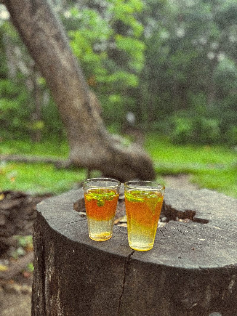 Two glasses of tea on a tree stump surrounded by green foliage