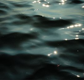 Sunlight catching the surface of rippling water