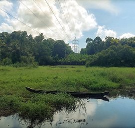 Green wetlands reflecting a cloudy sky