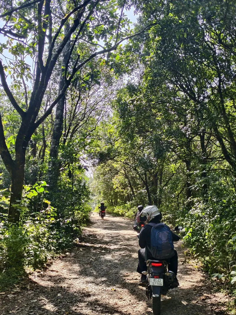 A rider following a narrow road under leafy trees