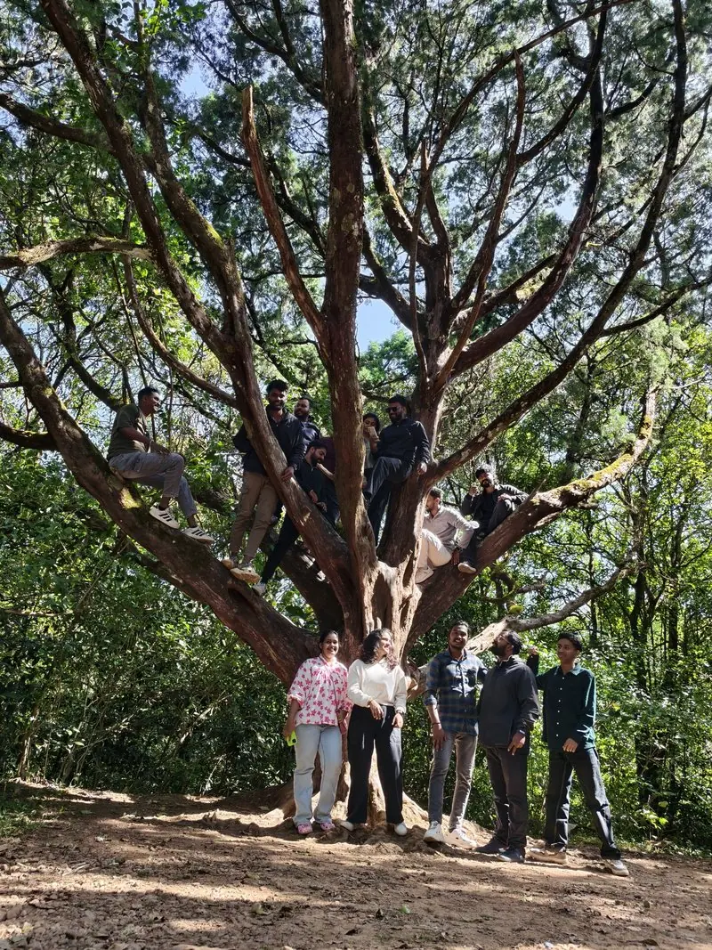 People standing beneath a large branching tree