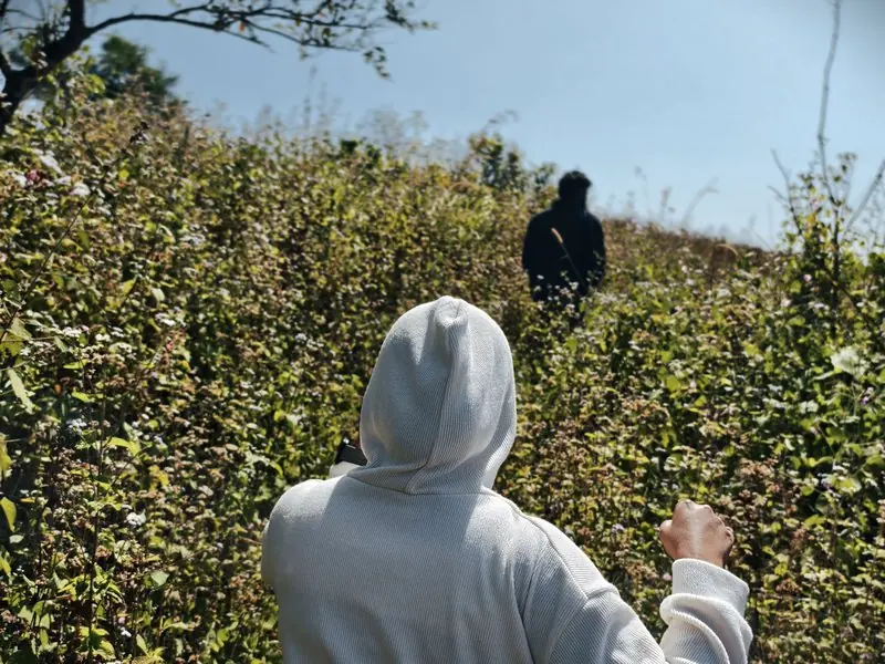A hooded person holding a small flower on a green hillside