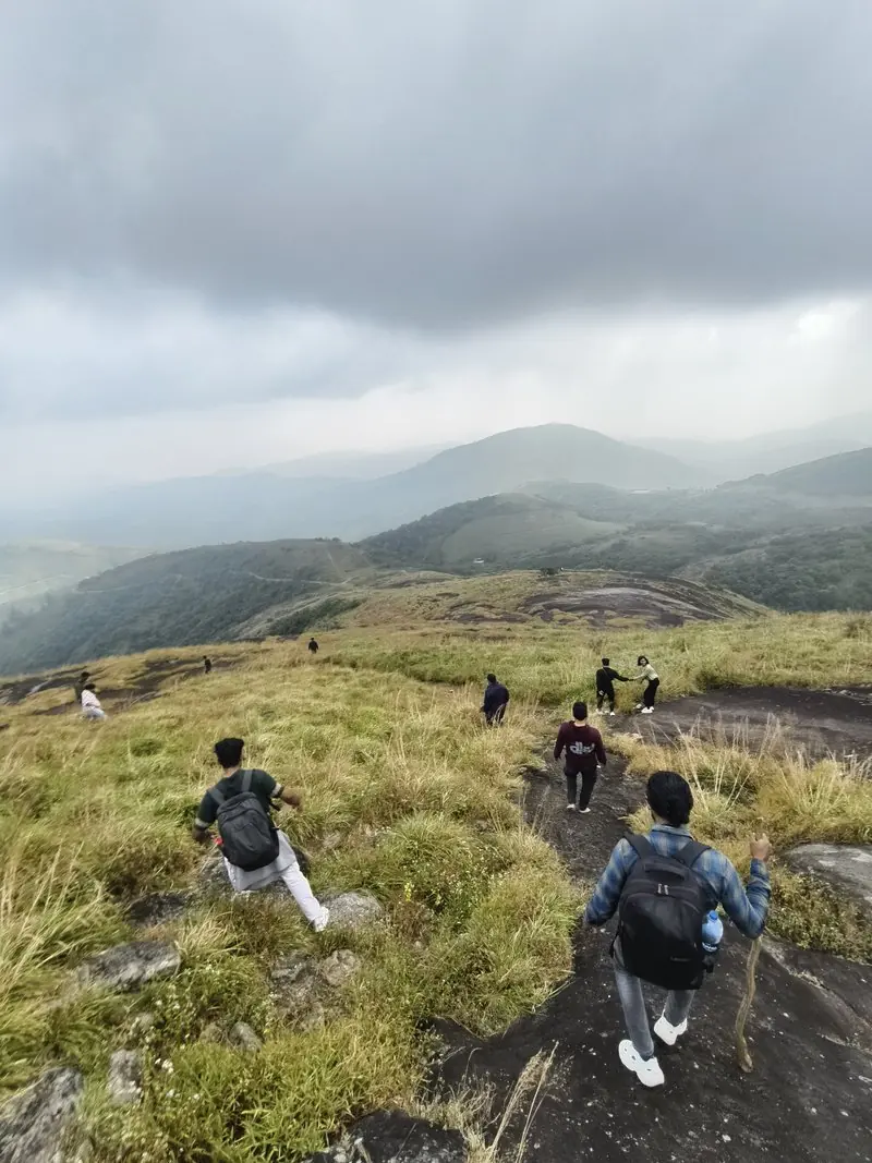 A group walking down a green hillside under grey clouds