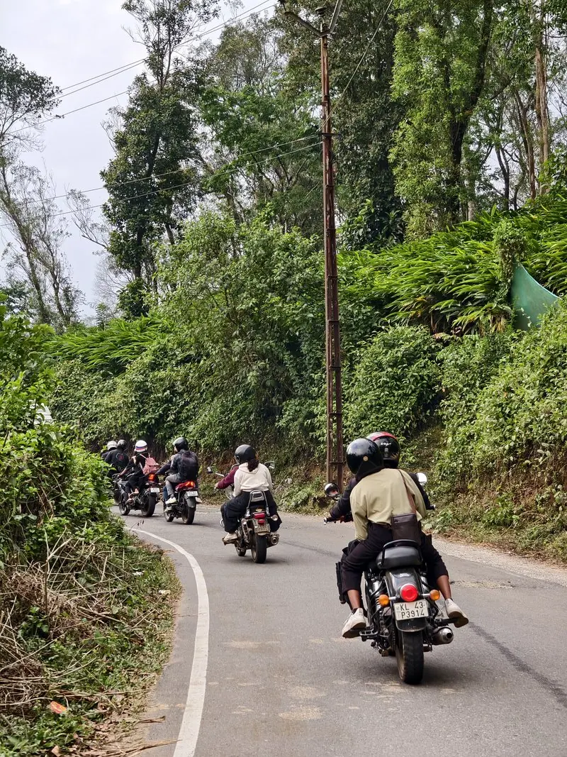 Motorcyclists following a curving road through dense greenery