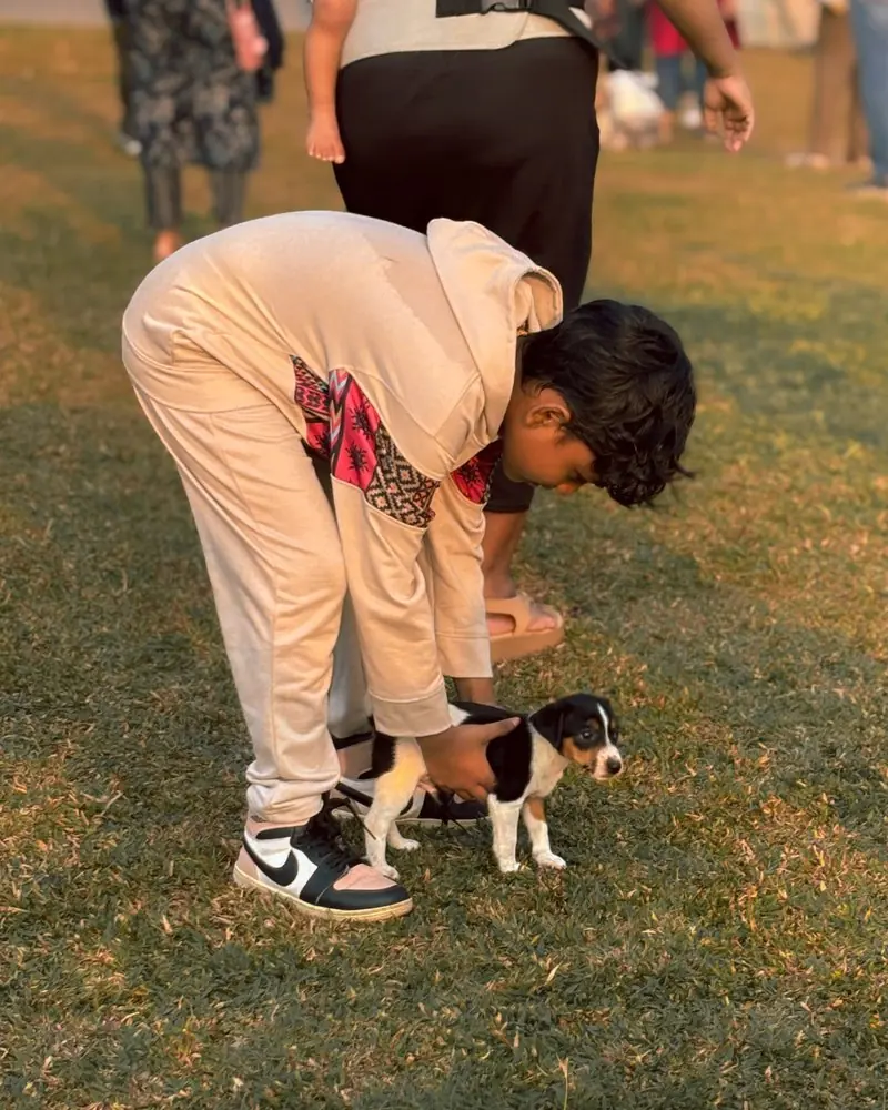 A child bending down to meet a small dog on the lawn