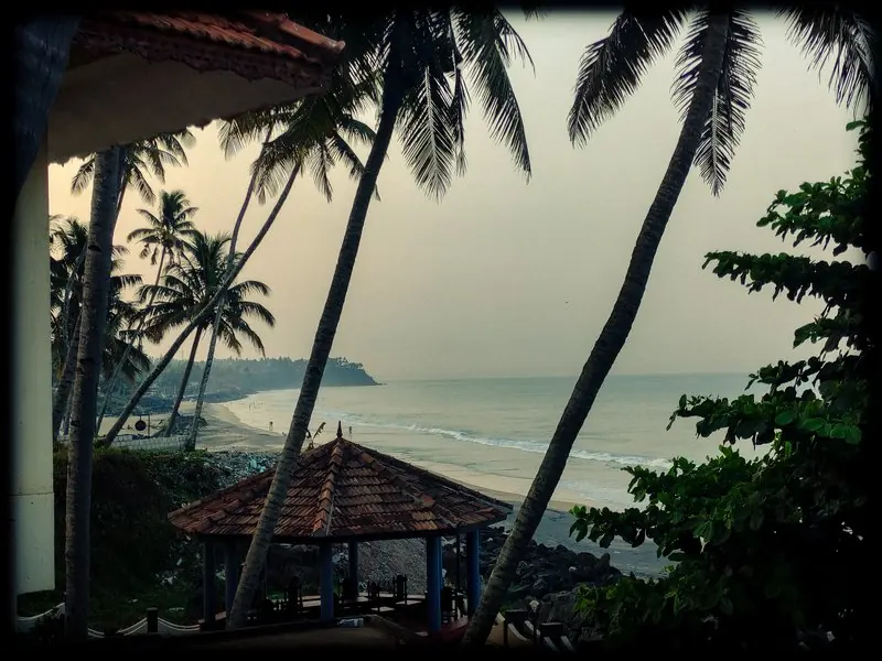 Palm trees framing the sea and a tiled rooftop