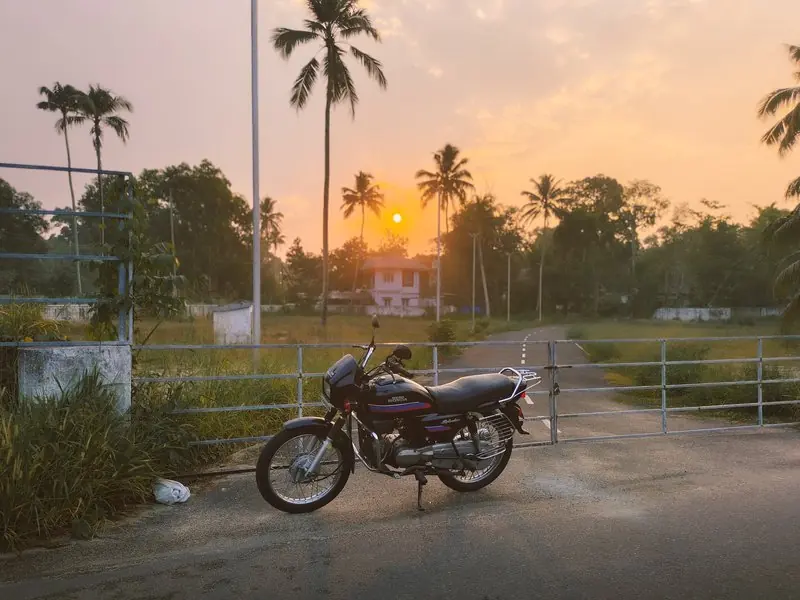 A motorcycle beside palms in warm sunrise light