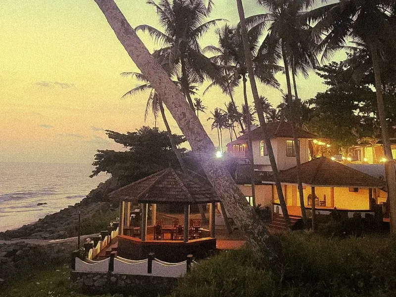 Lit seaside buildings among palms at dusk