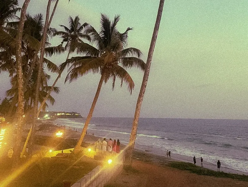 Palm trees and warm lights overlooking people on a beach